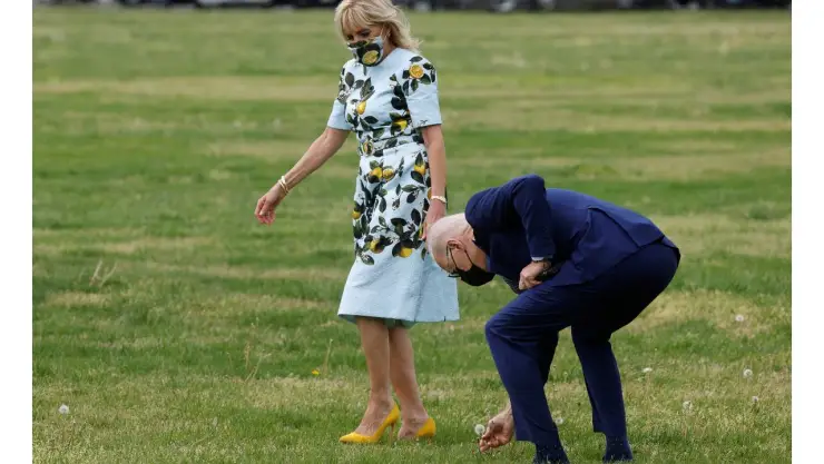 joe biden diente leon.jpg