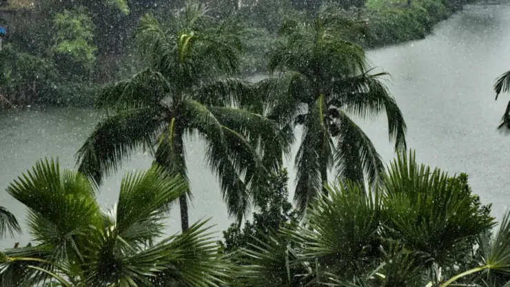 tormenta tropical sara.