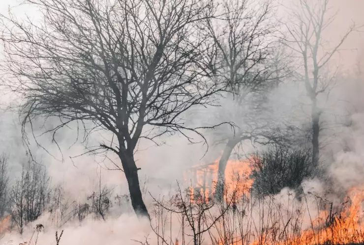 ¿Cómo evitar incendios y protegerse de los vientos de Santa Ana en Tijuana?