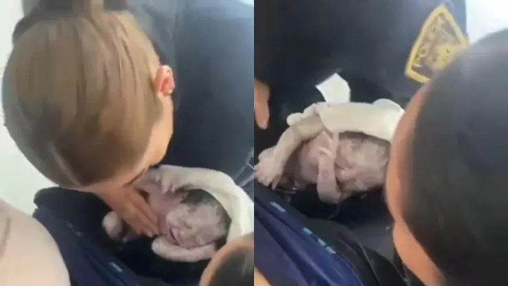 En calles de Tepito, joven entra en labor de parto y es auxiliada por policías (VIDEO)