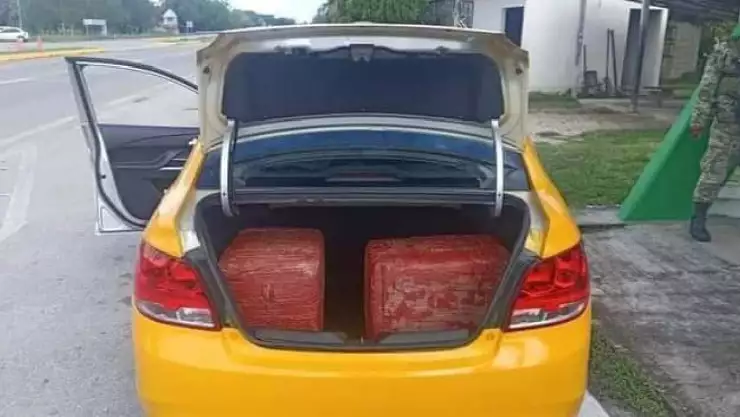 Aseguran 20 kilos de marihuana y detienen a una persona en Bacalar.jpg