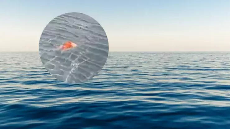 Hombre sobrevive en el mar de Brasil 