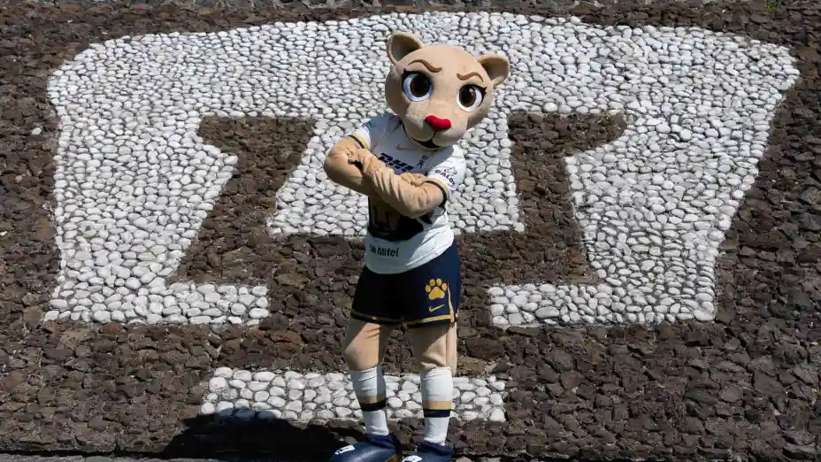 Goya-4.jpg