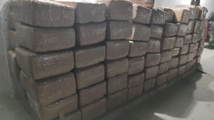 Decomisan 330 kilos de marihuana en Zacatecas
