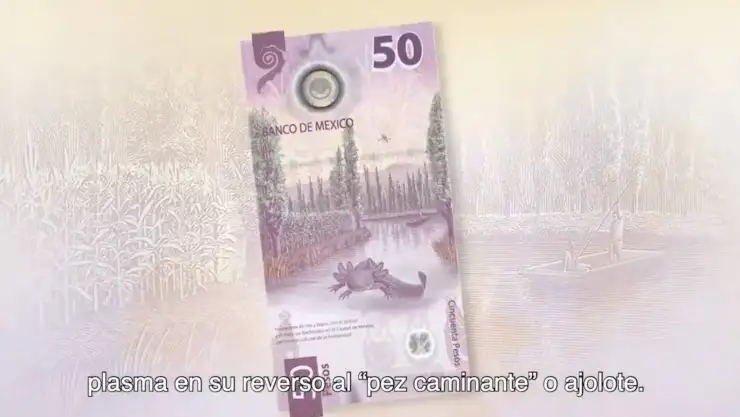 entregan-5-millones-pesos-billete-ajolote.jpg