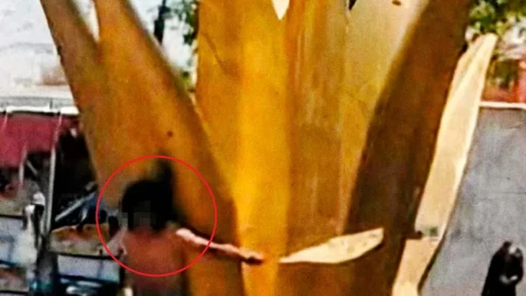 amarran a presunto ladrón a maguey misiones de san francisco