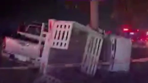 ZMG: Fatal choque y volcadura en Zapopan; mueren dos personas tras quedar prensados con árbol. En la imagen se observa a detalle cómo una camioneta terminó impactada contra un árbol tras grave percance.