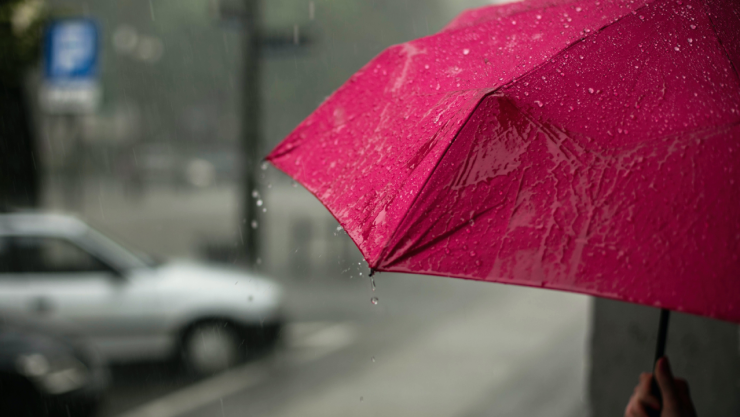 Monzón Mexicano 2023