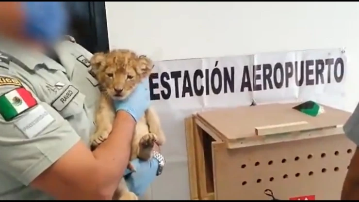 WhatsApp Image 2020-04-04 at 20.49.51.jpeg