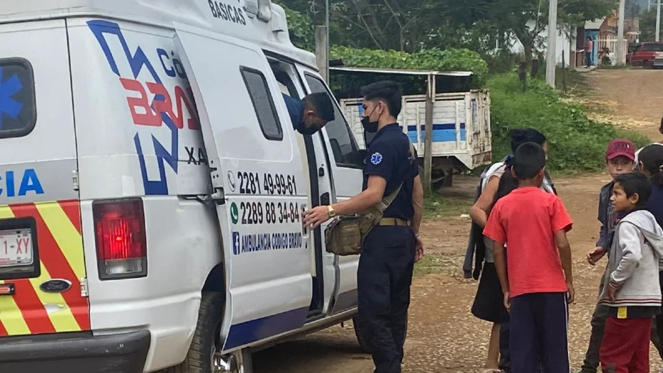 Se alborota panal de abejas en Xalapa.
