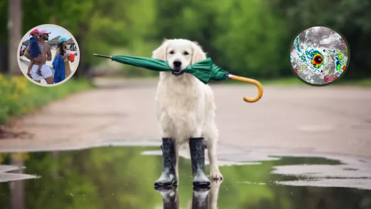 Tormenta Tropical Otis