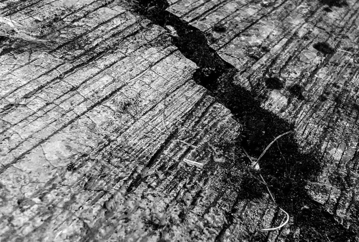 ¡Inicio de mes movido! Se registra temblor este 1 de febrero de 2025 en territorio nacional