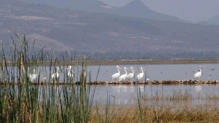 Laguna de Sayula