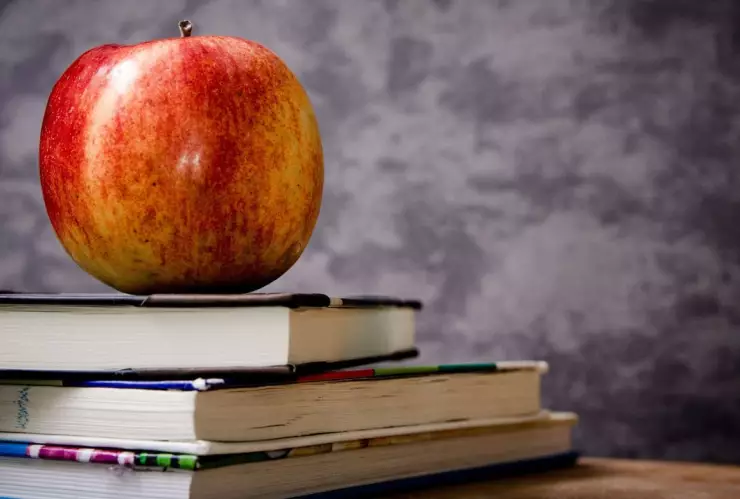 ¡Atención! Estos alumnos volverán a clases hasta el 29 de abril