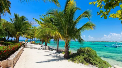 Akumal, en Quintana Roo, cautiva con sus bahías cristalinas, tortugas marinas y naturaleza serena.