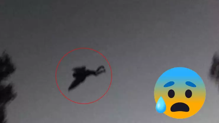 ¿Hombre pájaro? Encuentran extraña y horrible criatura del tamaño de un humano