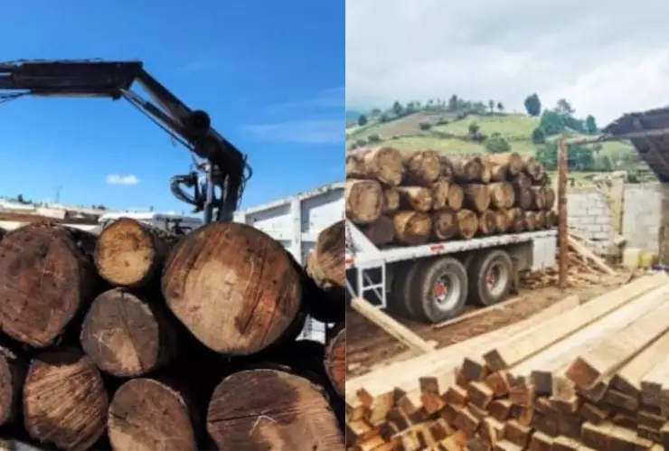 aserraderos madera ilegal