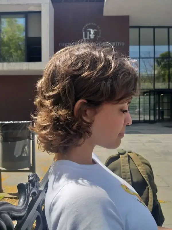 El Soft Mullet