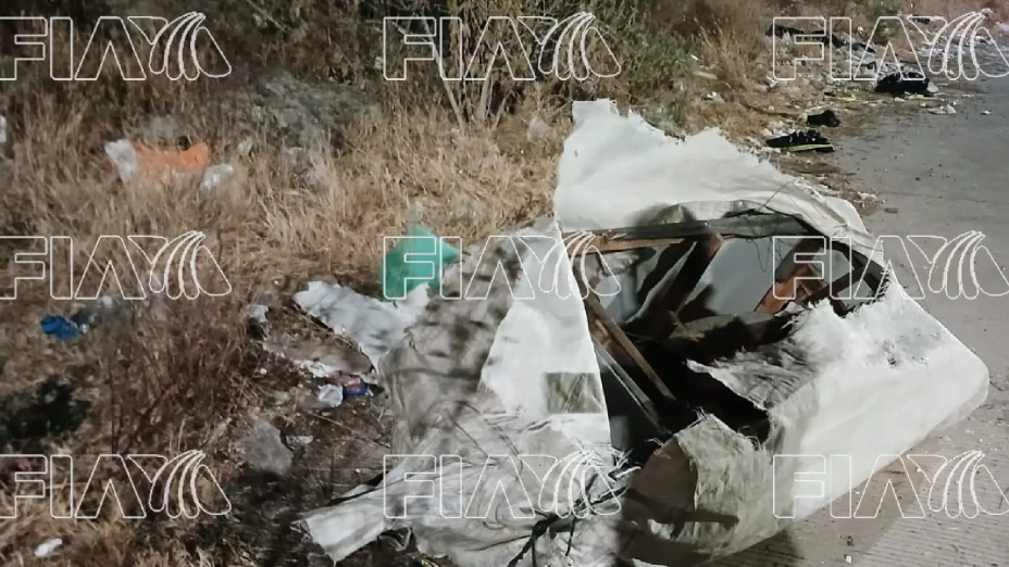 perro muerde cráneo Brisas del Campestre León