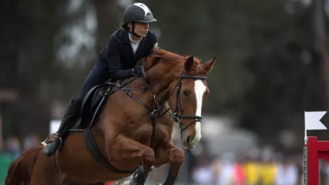 equitacion vegana finlandia deporte viral video.jpg