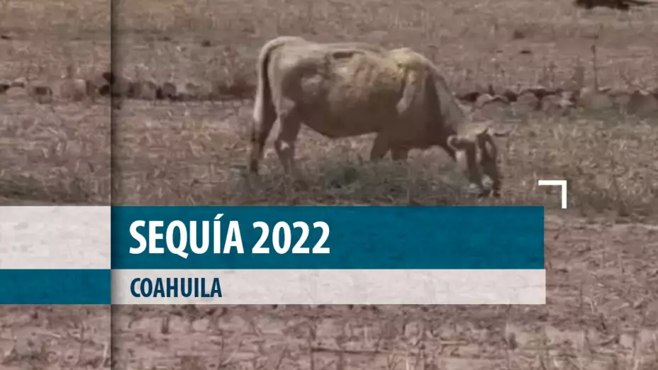 sequia 2022 coahuila.jpeg