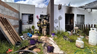 Incendio San Juan del Rio, perrito y su dueño rescatados