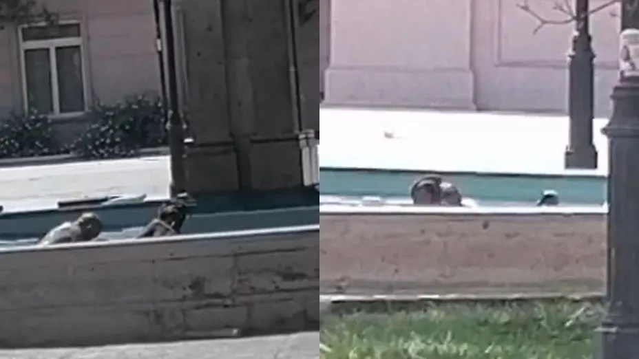 pareja teniendo relaciones en una fuente