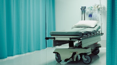 IMSS afiliar familia