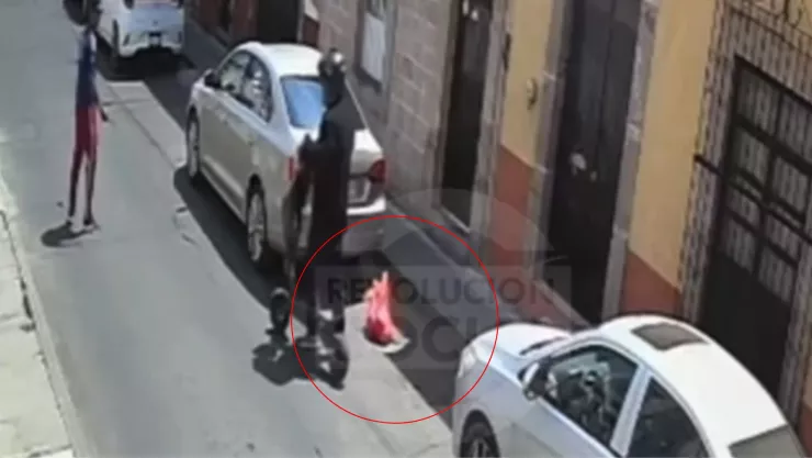 ¡Indignante! FILTRAN VIDEO de hombre abandonando un gatito dentro de una bolsa, en el centro de Morelia.jpg