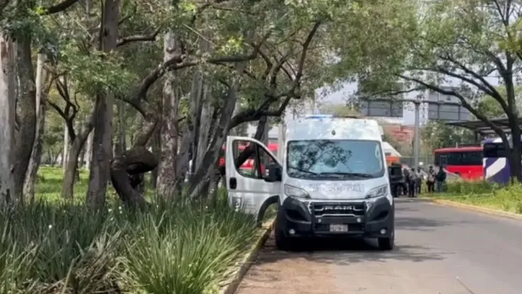 VIDEO: Así encontraron a un hombre sin vida en árbol de la Avenida Insurgentes Norte en CDMX; esto le pasó