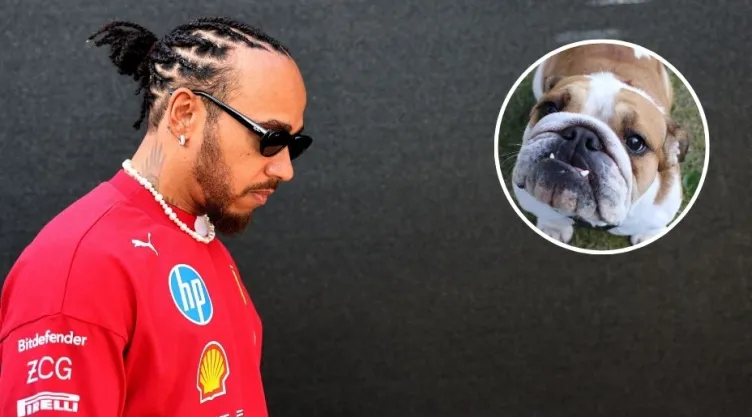 GP de México rindió homenaje a Roscoe, perro de Hamilton