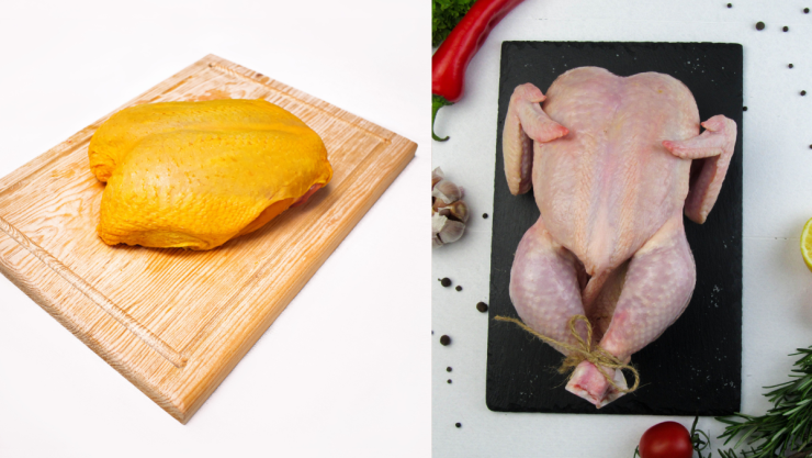 pollo.png