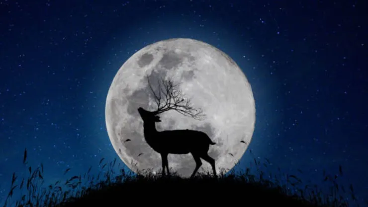 Así podrás ver la espectacular Luna de Ciervo este julio de 2026 en Puebla: Fecha y puntos de avistamiento