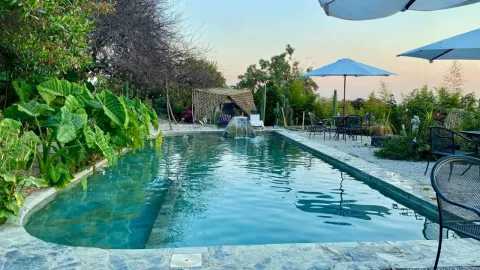 Precios y ubicación de Bosque Geométrico