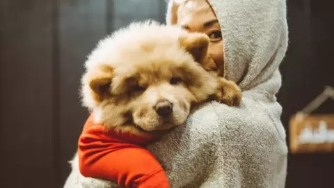 ¿Cómo saber si tu mascota tiene frío? Aquí las señales