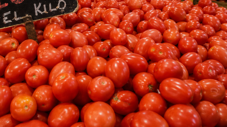 Precio kilo tomate hoy