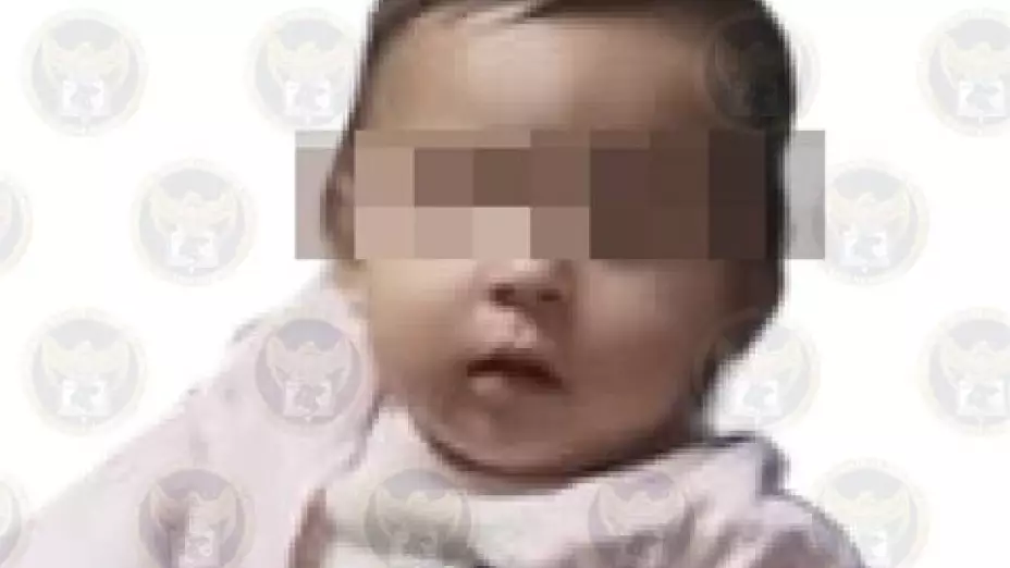 Bebé de 10 meses desaparecida en Guanajuato es localizada en Puebla
