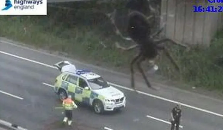 cámara de tráfico araña Reino Unido .jpg
