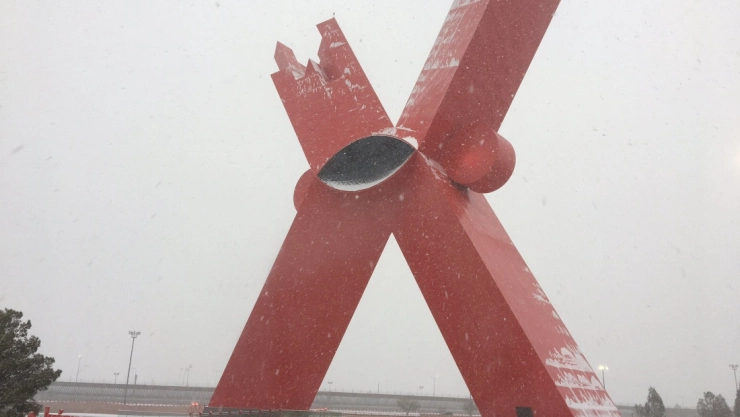 nevada chihuahua.jpg