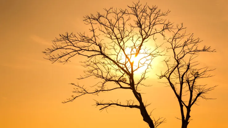México rompe récord anual de calor; sensación térmica alcanzó los 59.6 grados Celsius