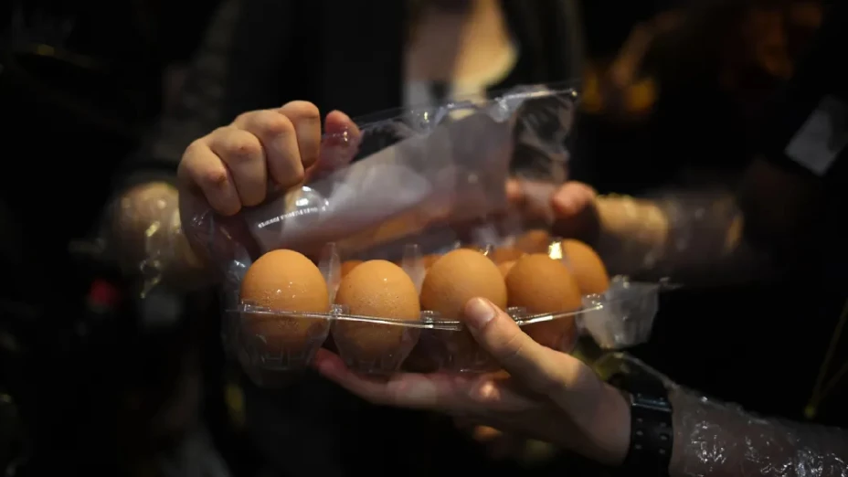 Lanzar huevos Halloween Chihuahua