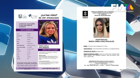 La ficha de búsqueda de María Camila Díaz, la joven colombiana desaparecida en CDMX