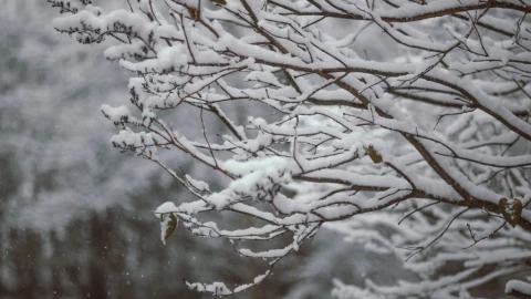 EU prevé tormentas y nevada en víspera de Acción de Gracias