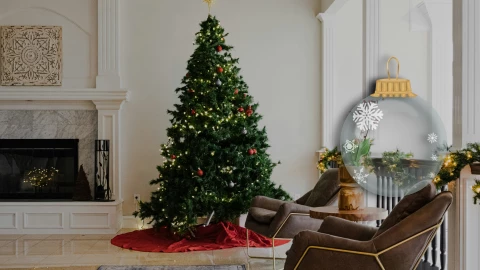 Árbol de Navidad 2025_ ¿Cuándo se debe poner oficialmente_ Esto es lo que dice la tradición.webp