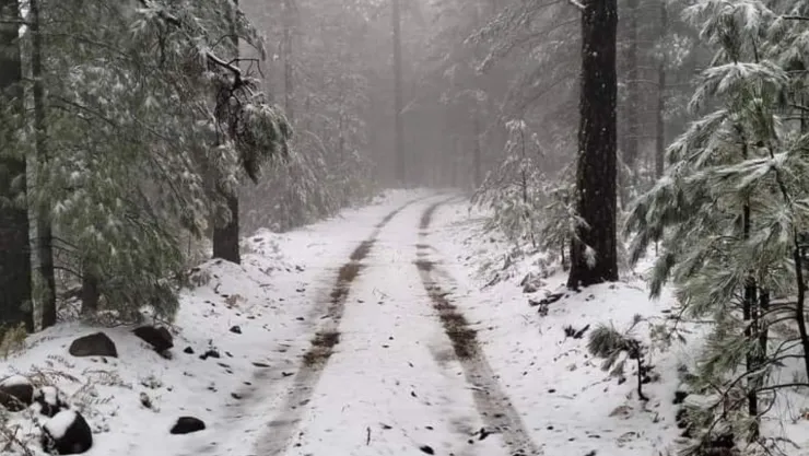 ¿En qué estado en México cayó la primera nevada de la temporada 2024-2025