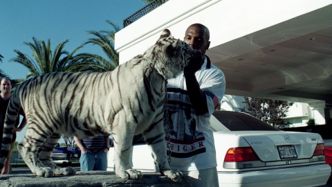 Mike Tyson ama a sus Tigres