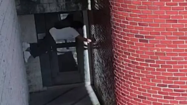 Danelo Cavalcante esta acusado de apuñalar 38 veces a su esposa Deborah Brandao