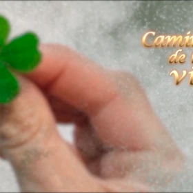 IMAGEN 3 (6).png