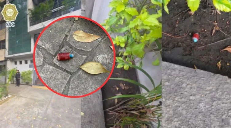 Perros envenenados Condesa