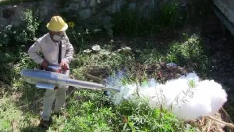 malaria en México paludismo casos Oaxaca combate mosquito